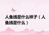 人鱼线是什么样子（人鱼线是什么）