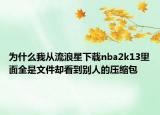 为什么我从流浪星下载nba2k13里面全是文件却看到别人的压缩包