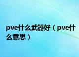 pve什么武器好（pve什么意思）
