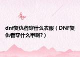 dnf复仇者穿什么衣服（DNF复仇者穿什么甲啊?）