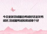 今日更新羽绒服白鸭绒好还是灰鸭绒好,羽绒服鸭绒和鹅绒哪个好