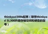 thinkpad300s配置（联想thinkpad SL300升级存储空间和硬盘的型号）