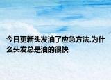 今日更新头发油了应急方法,为什么头发总是油的很快