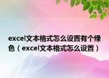excel文本格式怎么设置有个绿色（excel文本格式怎么设置）