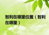 智利在哪里位置（智利在哪里）