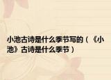 小池古诗是什么季节写的（《小池》古诗是什么季节）