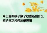 今日更新蚊子除了蚊香还怕什么,蚊子喜欢光亮还是黑暗