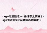 csgo无法验证vac会话怎么解决（csgo无法验证vac会话怎么解决）