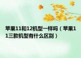 苹果11和12机型一样吗（苹果11三款机型有什么区别）