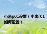 小米p01设置（小米r01如何设置）