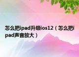 怎么把ipad升级ios12（怎么把ipad声音放大）