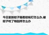 今日更新蚊子隔着蚊帐叮怎么办,被蚊子咬了特别痒怎么办