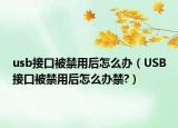 usb接口被禁用后怎么办（USB接口被禁用后怎么办禁?）