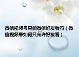 微信视频号只能微信好友看吗（微信视频号如何只允许好友看）