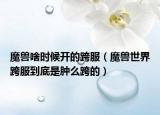 魔兽啥时候开的跨服（魔兽世界跨服到底是肿么跨的）