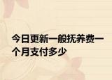 今日更新一般抚养费一个月支付多少