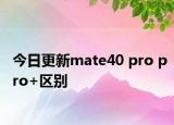 今日更新mate40 pro pro+区别