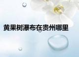 黄果树瀑布在贵州哪里
