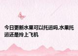 今日更新水果可以托运吗,水果托运还是拎上飞机