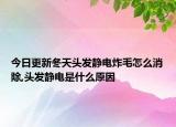 今日更新冬天头发静电炸毛怎么消除,头发静电是什么原因