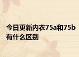 今日更新内衣75a和75b有什么区别