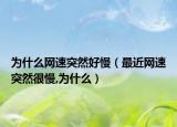 为什么网速突然好慢（最近网速突然很慢,为什么）