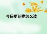 今日更新桅怎么读