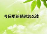 今日更新鸸鹋怎么读