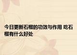 今日更新石榴的功效与作用 吃石榴有什么好处