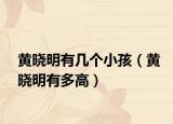 黄晓明有几个小孩（黄晓明有多高）