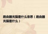 路由器光猫是什么意思（路由器光猫是什么）