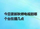 今日更新秋蝉电视剧哪个台在播几点