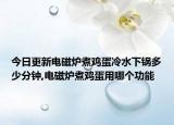 今日更新电磁炉煮鸡蛋冷水下锅多少分钟,电磁炉煮鸡蛋用哪个功能