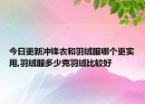 今日更新冲锋衣和羽绒服哪个更实用,羽绒服多少克羽绒比较好