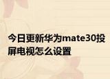 今日更新华为mate30投屏电视怎么设置