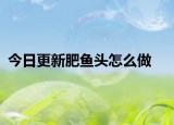 今日更新肥鱼头怎么做