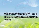 苹果手机如何看epub文件（ipad或者iphone肿么看epub格式的电子书?）