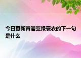 今日更新青箬笠绿蓑衣的下一句是什么