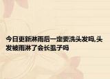 今日更新淋雨后一定要洗头发吗,头发被雨淋了会长虱子吗