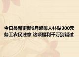 今日最新更新6月起每人补贴300元务工农民注意 这项福利千万别错过