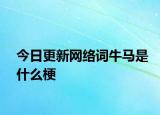 今日更新网络词牛马是什么梗