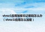 vivoz1应用加密忘记密码怎么办（vivoz1i应用怎么加密）