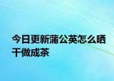 今日更新蒲公英怎么晒干做成茶