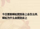 今日更新蜈蚣爬到身上会怎么样,蜈蚣为什么会爬到床上
