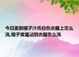 今日更新橘子汁弄白色衣服上怎么洗,橘子发霉沾到衣服怎么洗