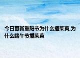 今日更新重阳节为什么插茱萸,为什么端午节插茱萸