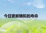今日更新骆驼的寿命