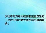少壮不努力老大徒伤悲出自汉乐府（少壮不努力老大徒伤悲出自哪首诗）