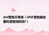 dnf宠物不喂食（DNF宠物肯定要吃宠物饲料吗?）