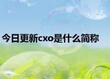 今日更新cxo是什么简称